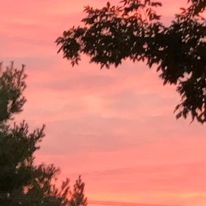 Meet your Posher, Gabrielle